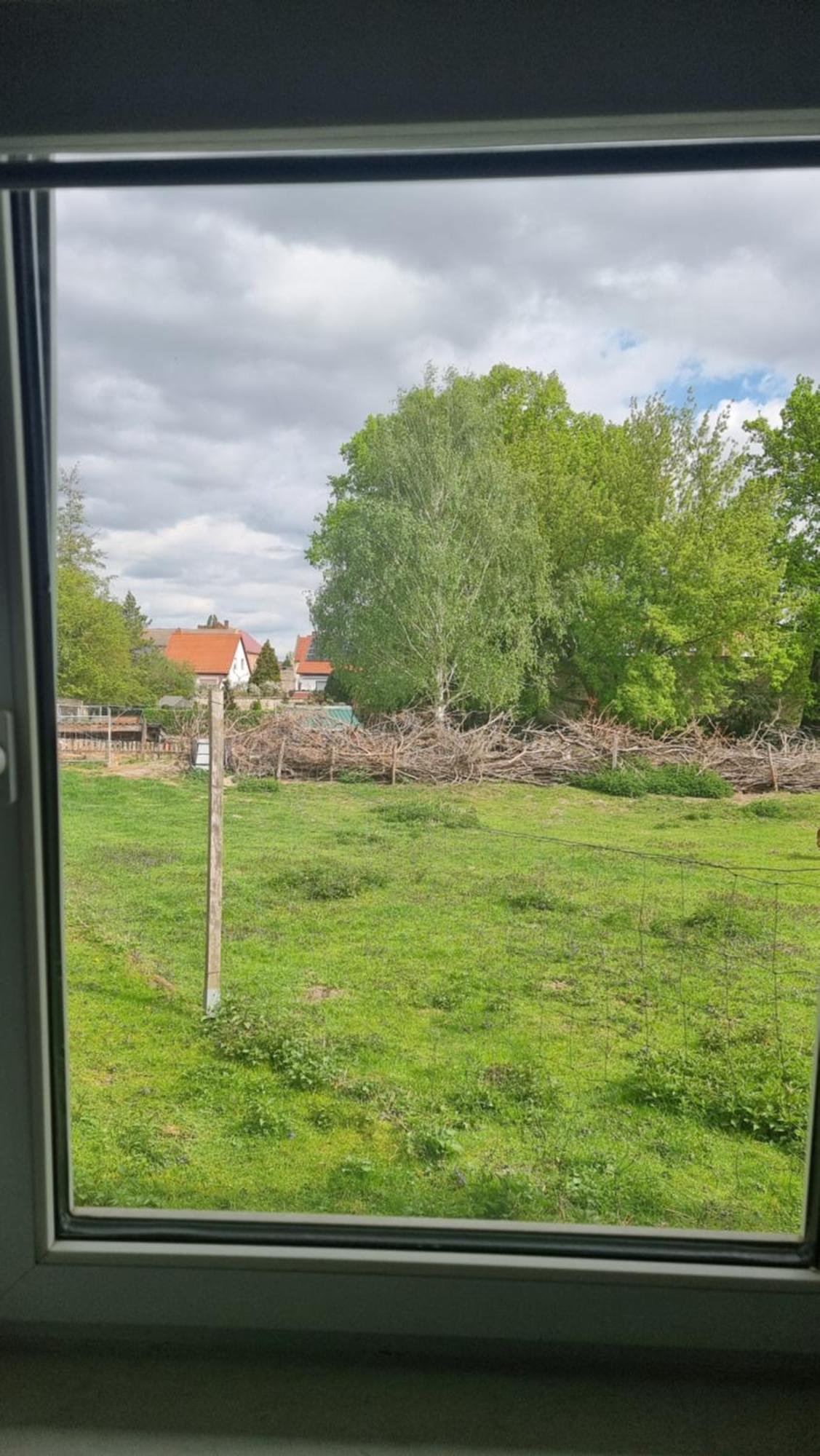 Zimmervermietung Zahn Baalberge ภายนอก รูปภาพ